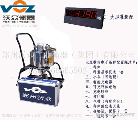 電子吊秤